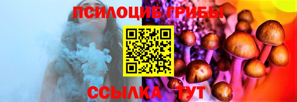 Псилоцибиновые грибы прущие грибы  Галлюциногенные грибы MAGIC MUSHROOMS  Джанкой  Вход с VPN 